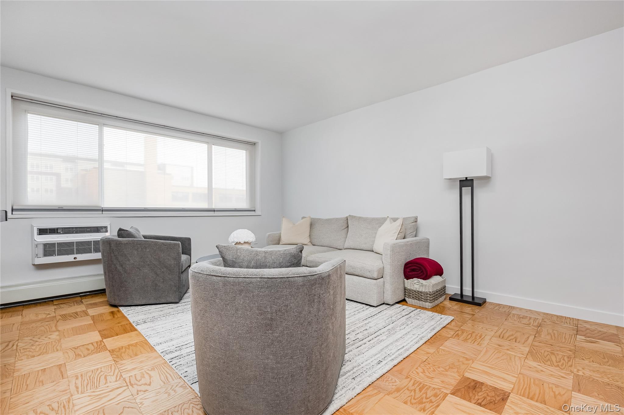 101 Clinton Avenue # 1A, Mineola, NY 11501