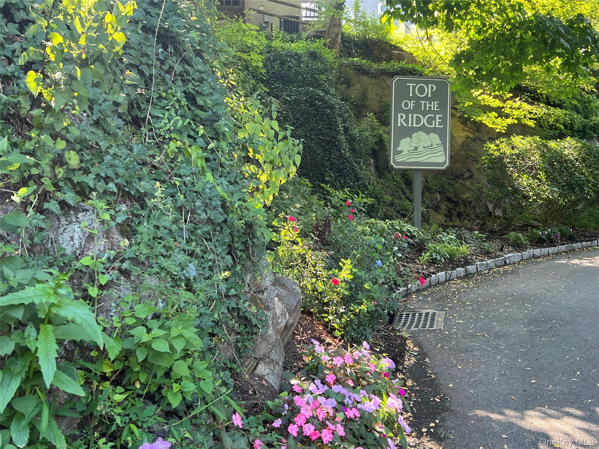 1 Top Of The Ridge # B1, Mamaroneck, NY 10543