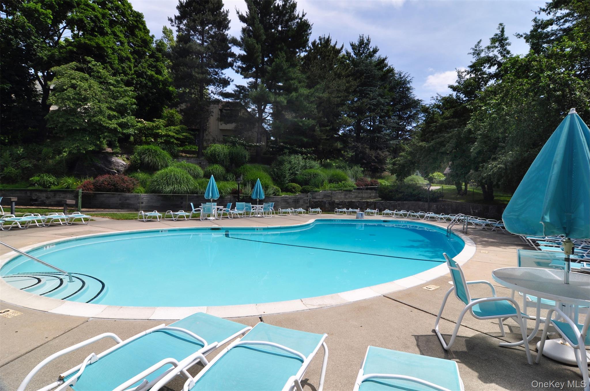 272 Birch Lane, Irvington, NY 10533