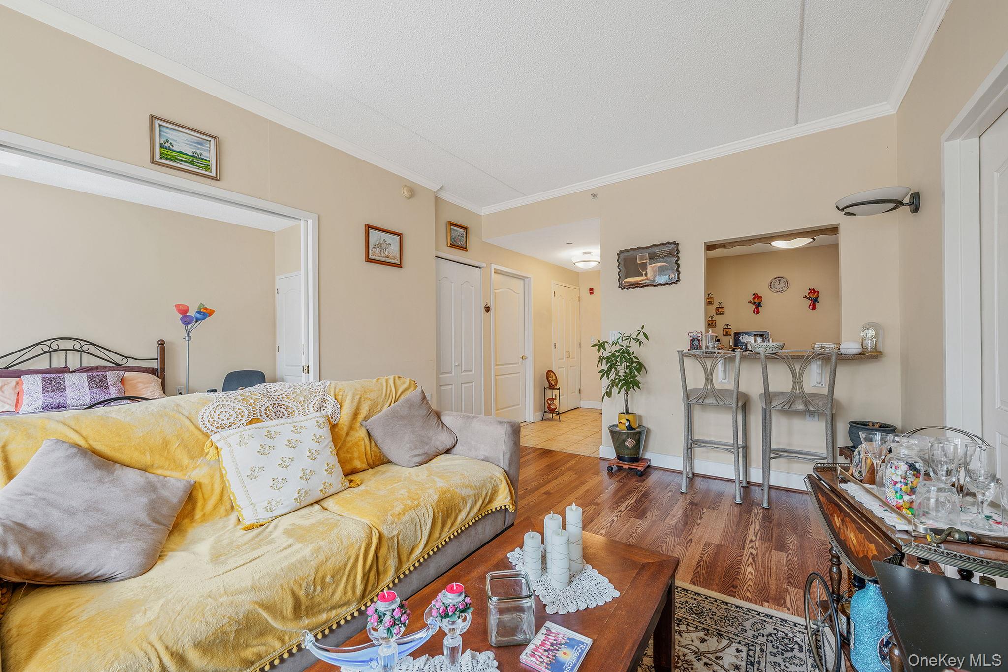 50 Merrick Avenue # 216, East Meadow, NY 11554