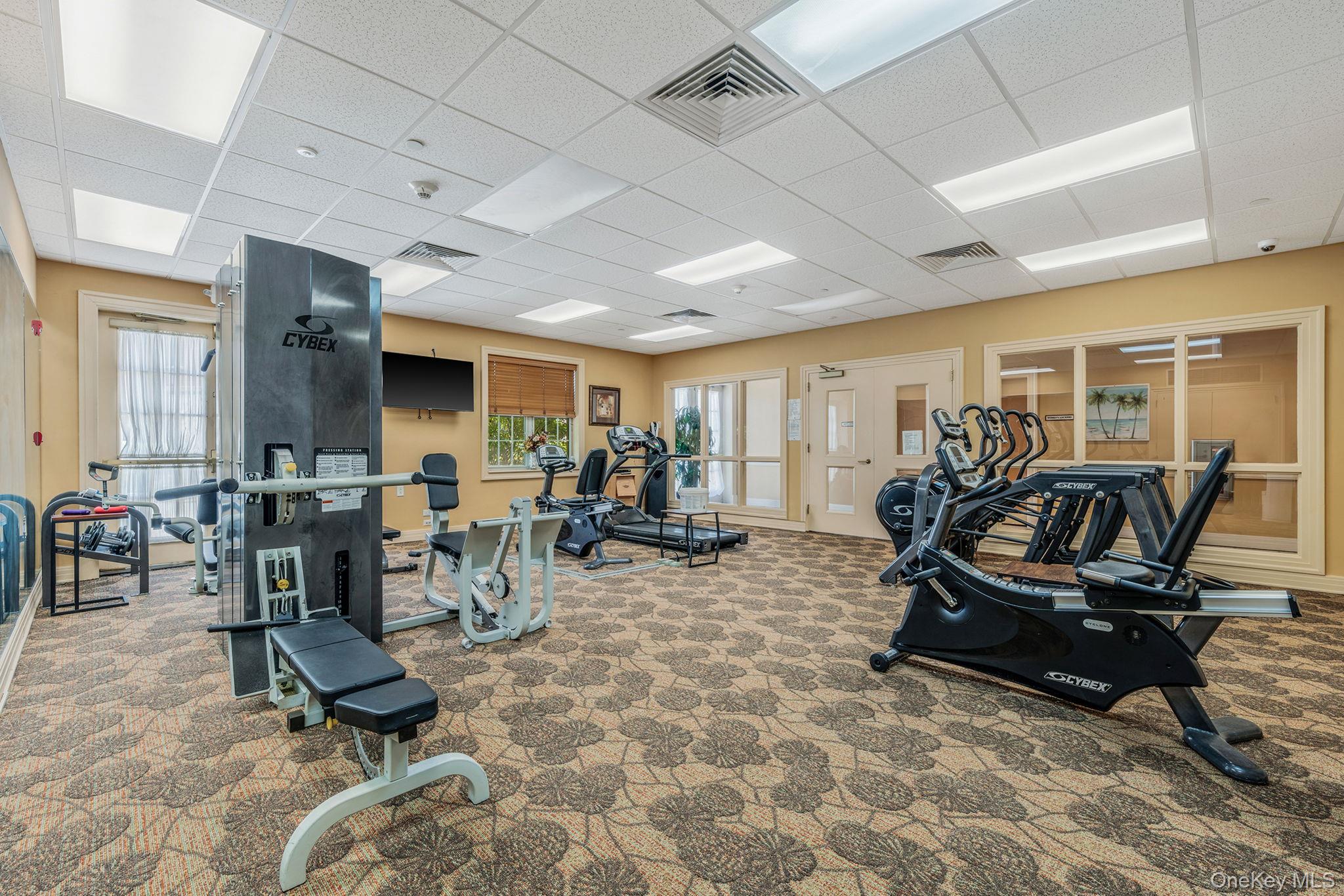 50 Merrick Avenue # 216, East Meadow, NY 11554