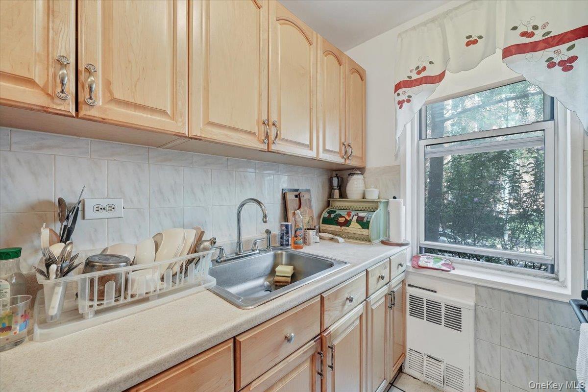 1425 Thieriot Avenue # 1N, Bronx, NY 10460