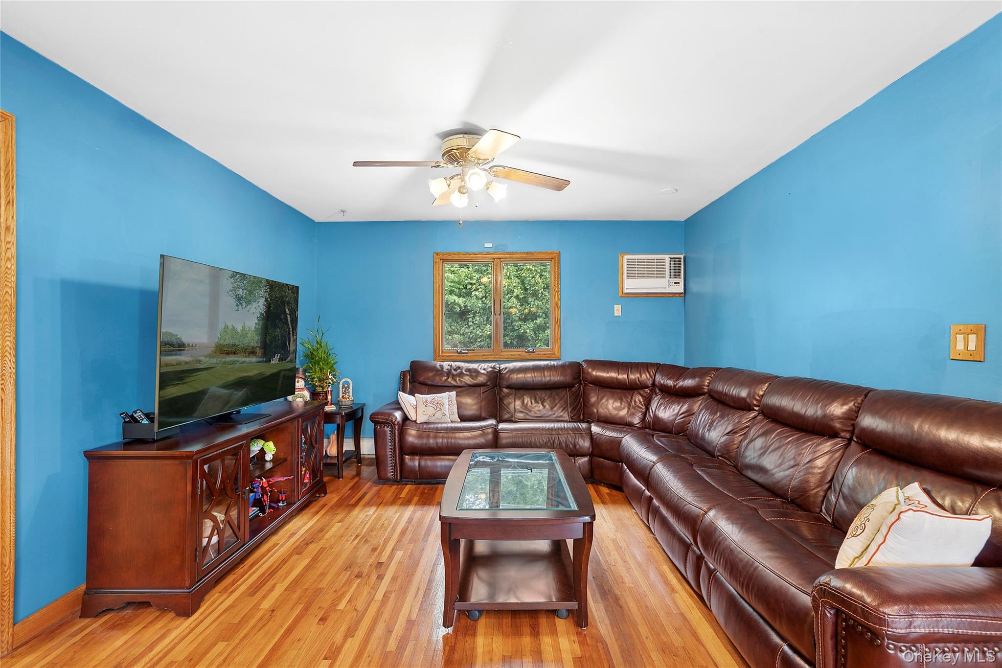 79 Elizabeth Drive, Bethpage, NY 11714