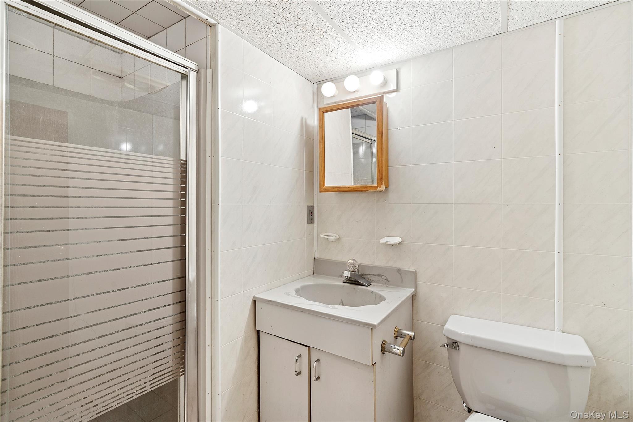 79 Elizabeth Drive, Bethpage, NY 11714