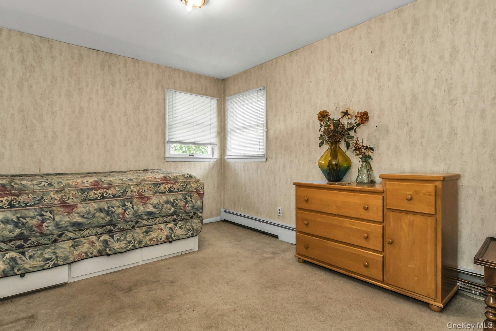 58 Pasadena Drive, Plainview, NY 11803