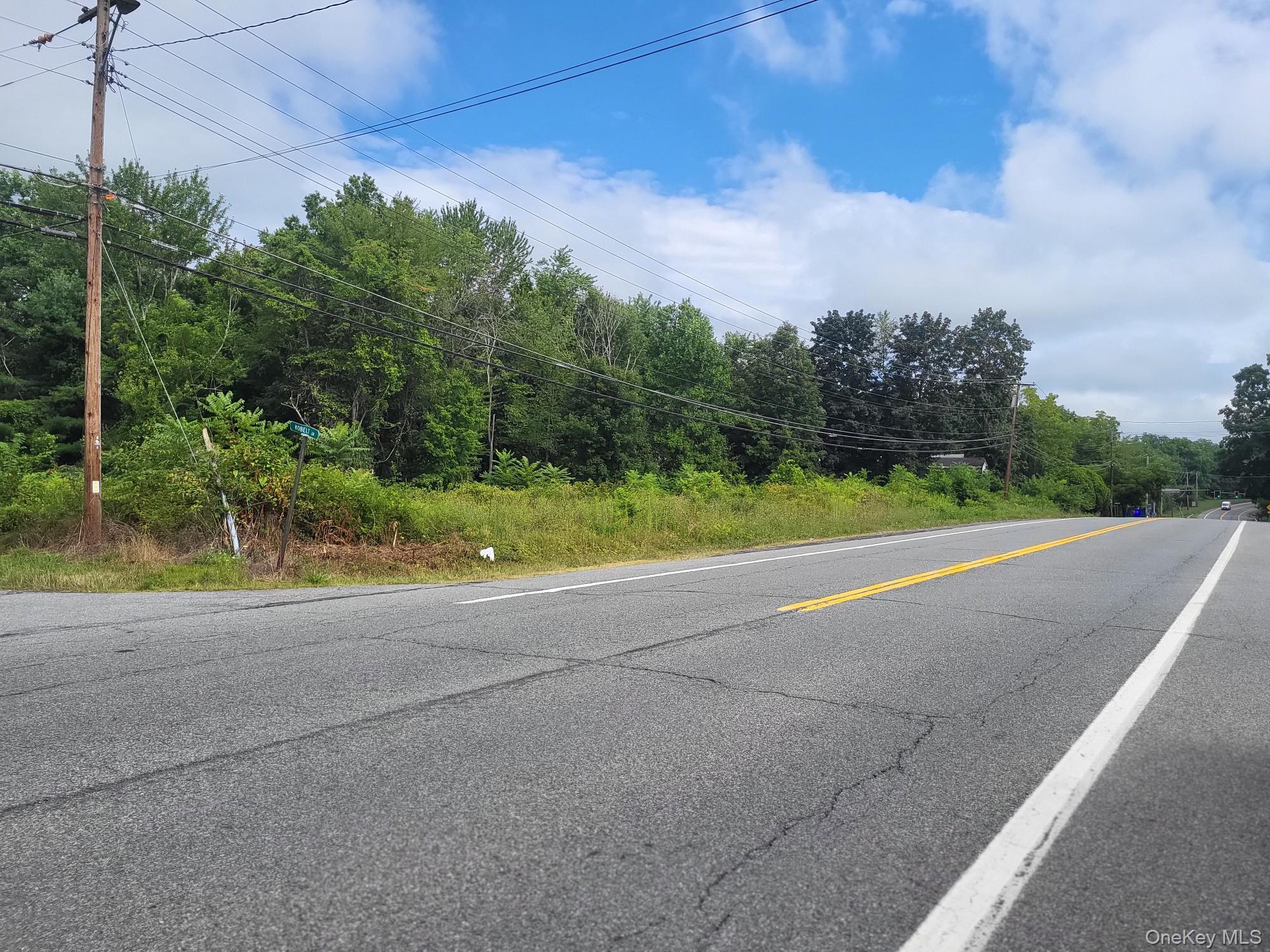 W NYS RTE 208 Highway (Bona Ventura) Avenue, Wallkill, NY 12589