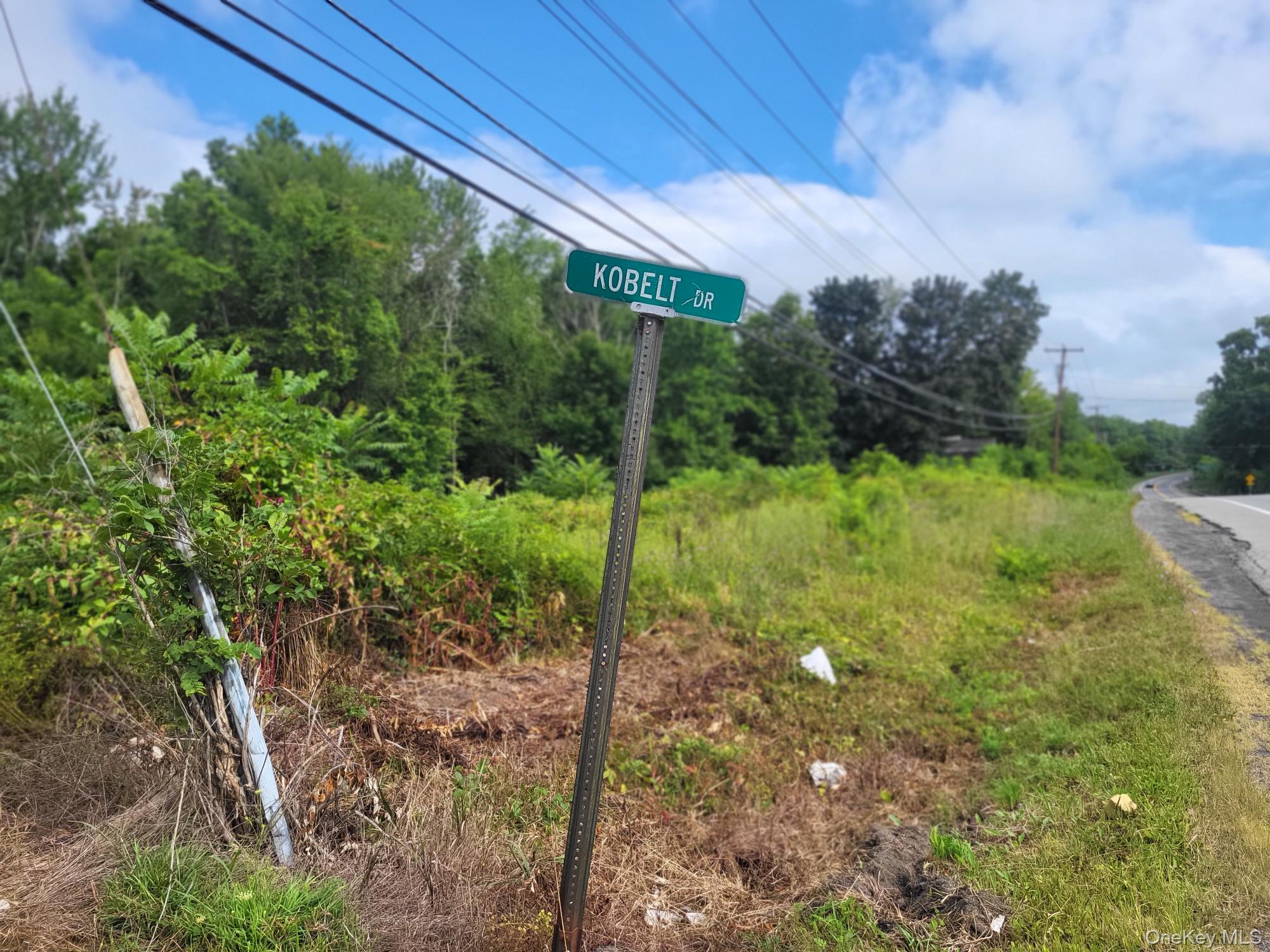 W NYS RTE 208 Highway (Bona Ventura) Avenue, Wallkill, NY 12589