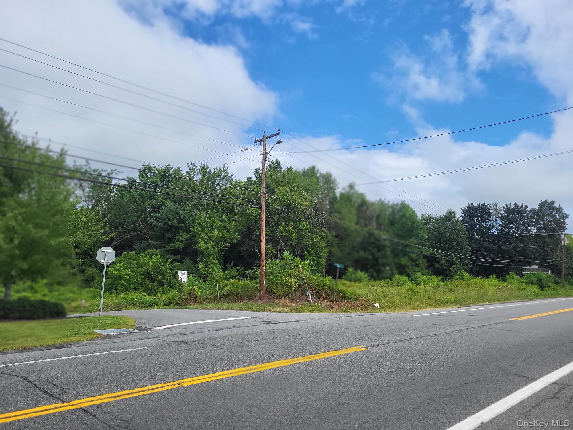 W NYS RTE 208 Highway (Bona Ventura) Avenue, Wallkill, NY 12589