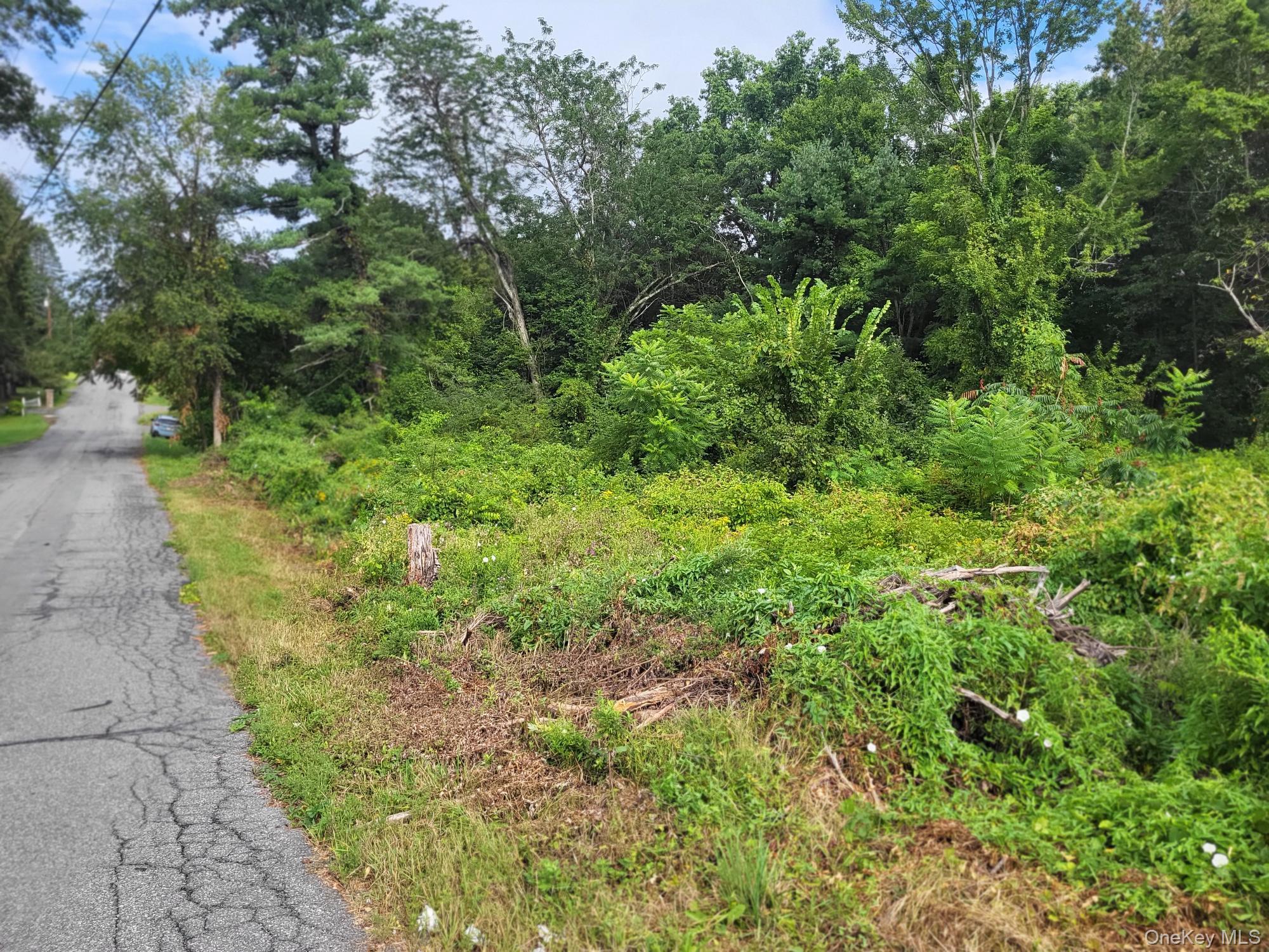 W NYS RTE 208 Highway (Bona Ventura) Avenue, Wallkill, NY 12589