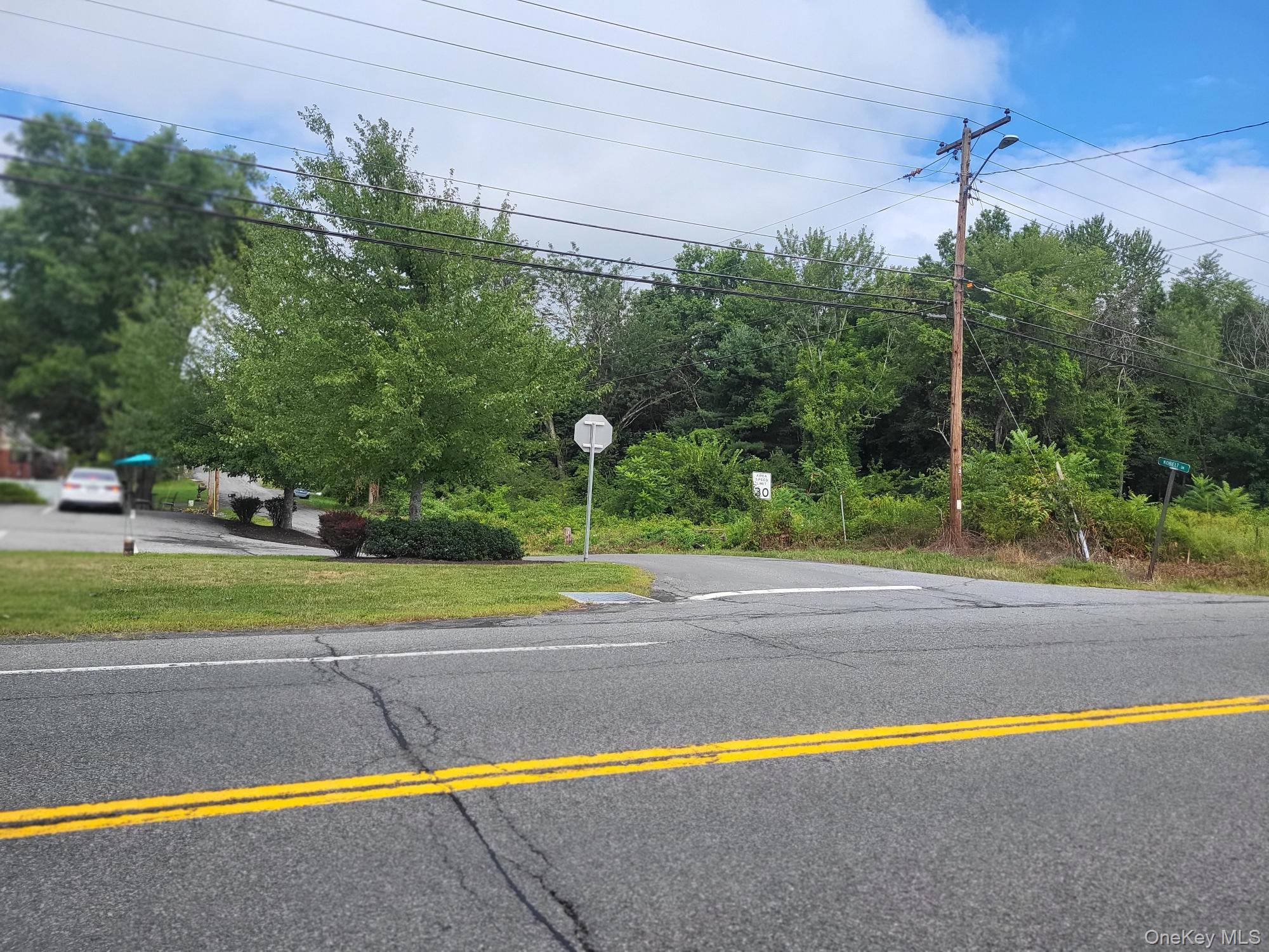 W NYS RTE 208 Highway (Bona Ventura) Avenue, Wallkill, NY 12589