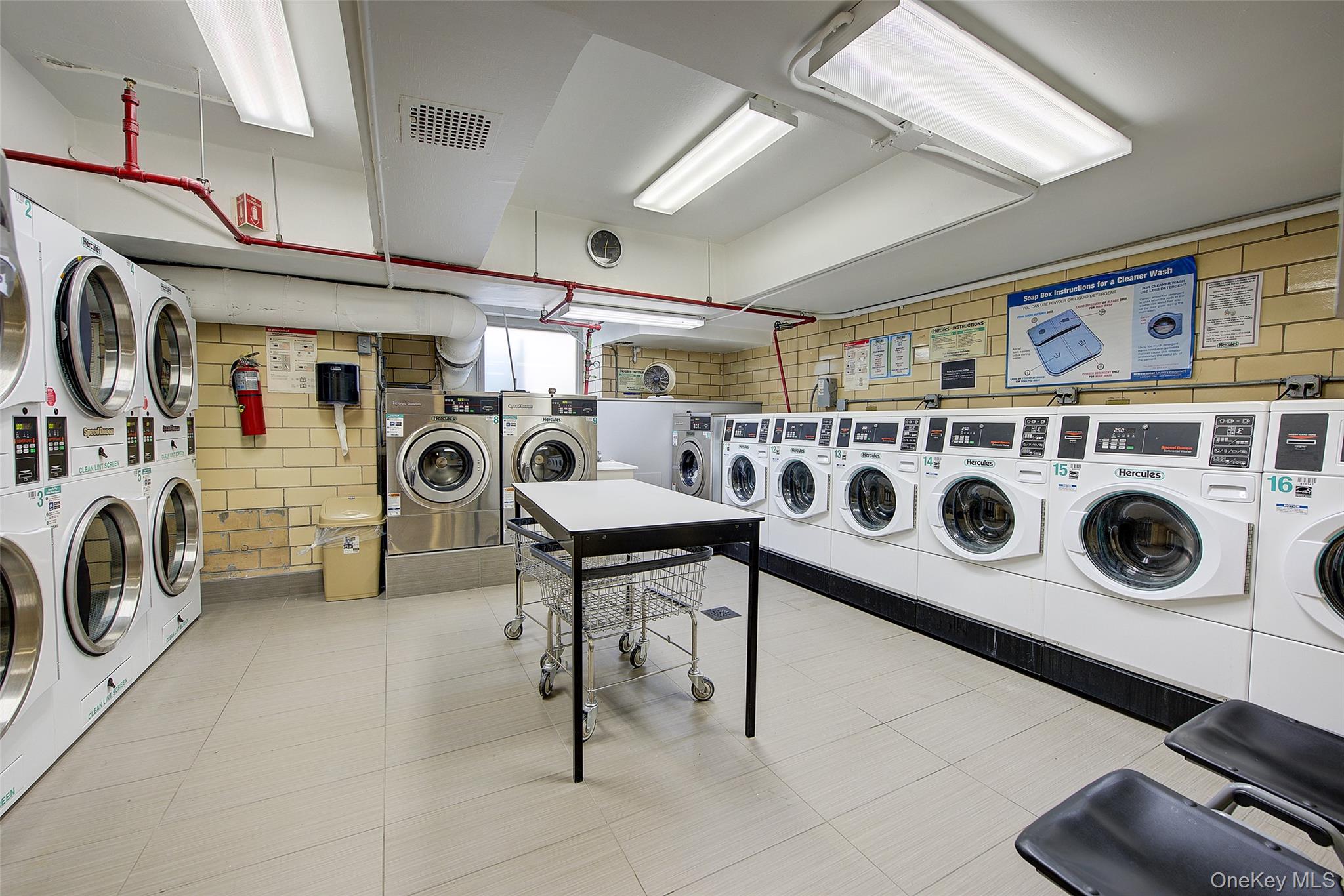 110-45 Queens Boulevard # 810, Forest Hills, NY 11375