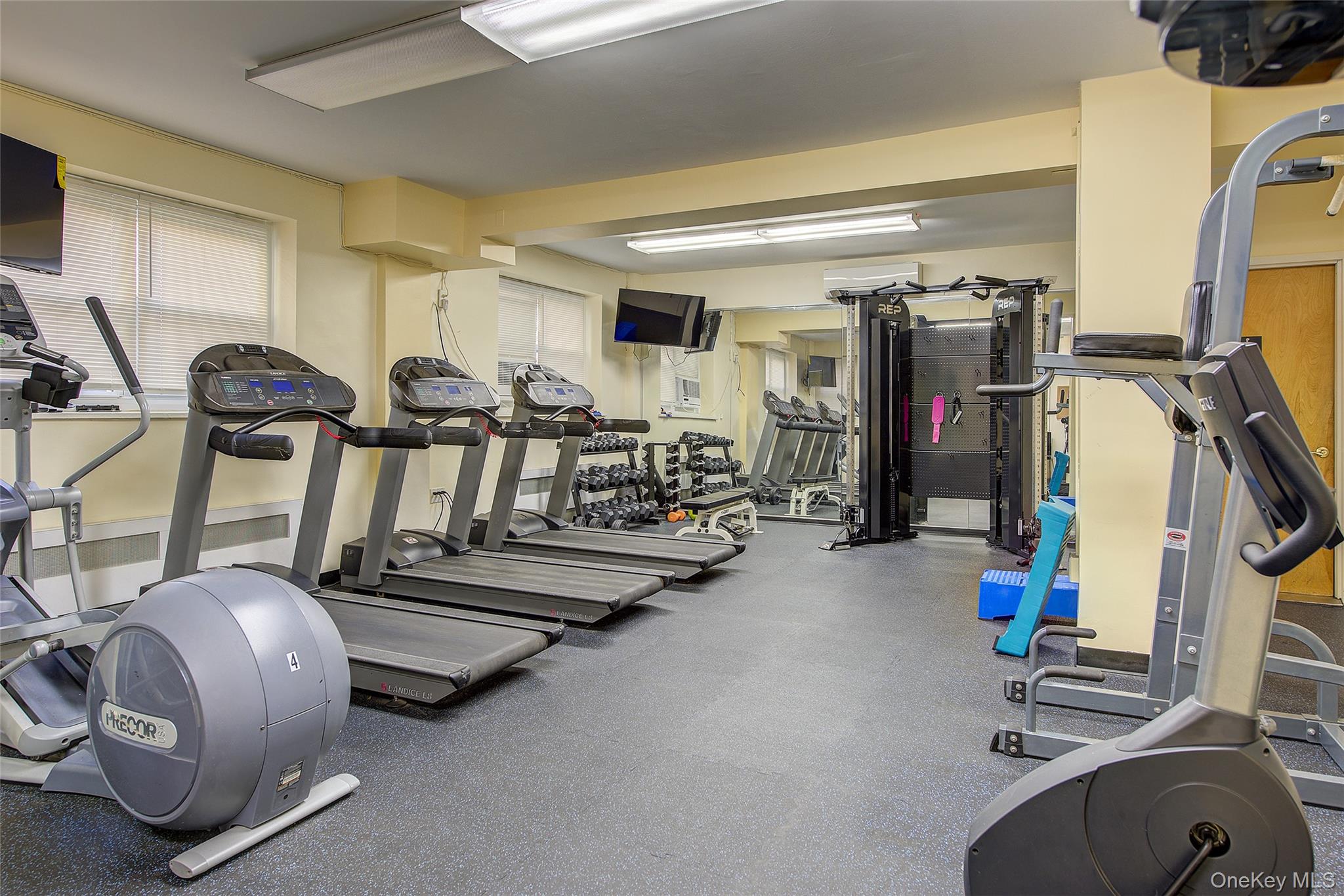 110-45 Queens Boulevard # 810, Forest Hills, NY 11375