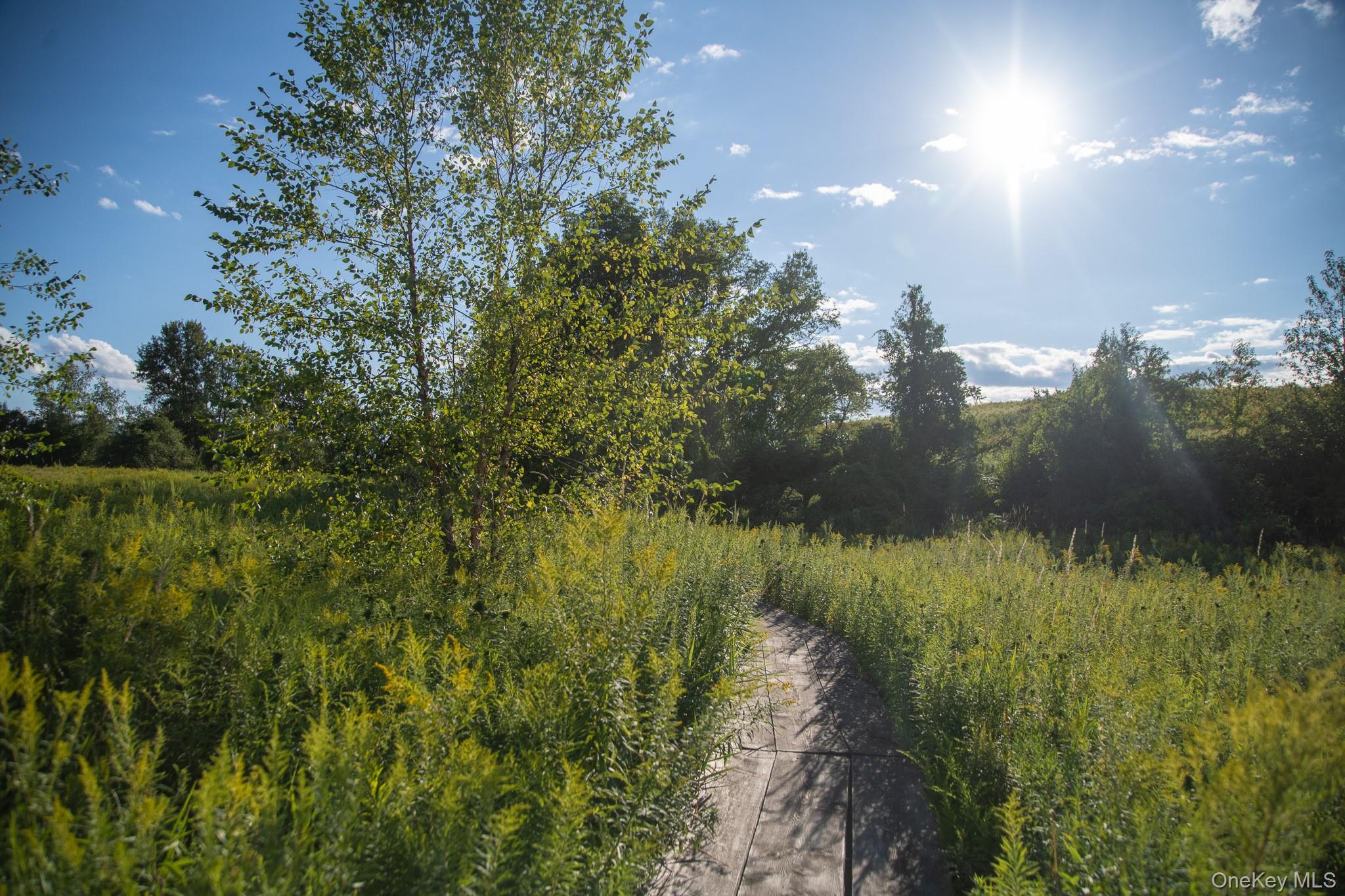 314 Schoolhouse Road, Ghent, NY 12017