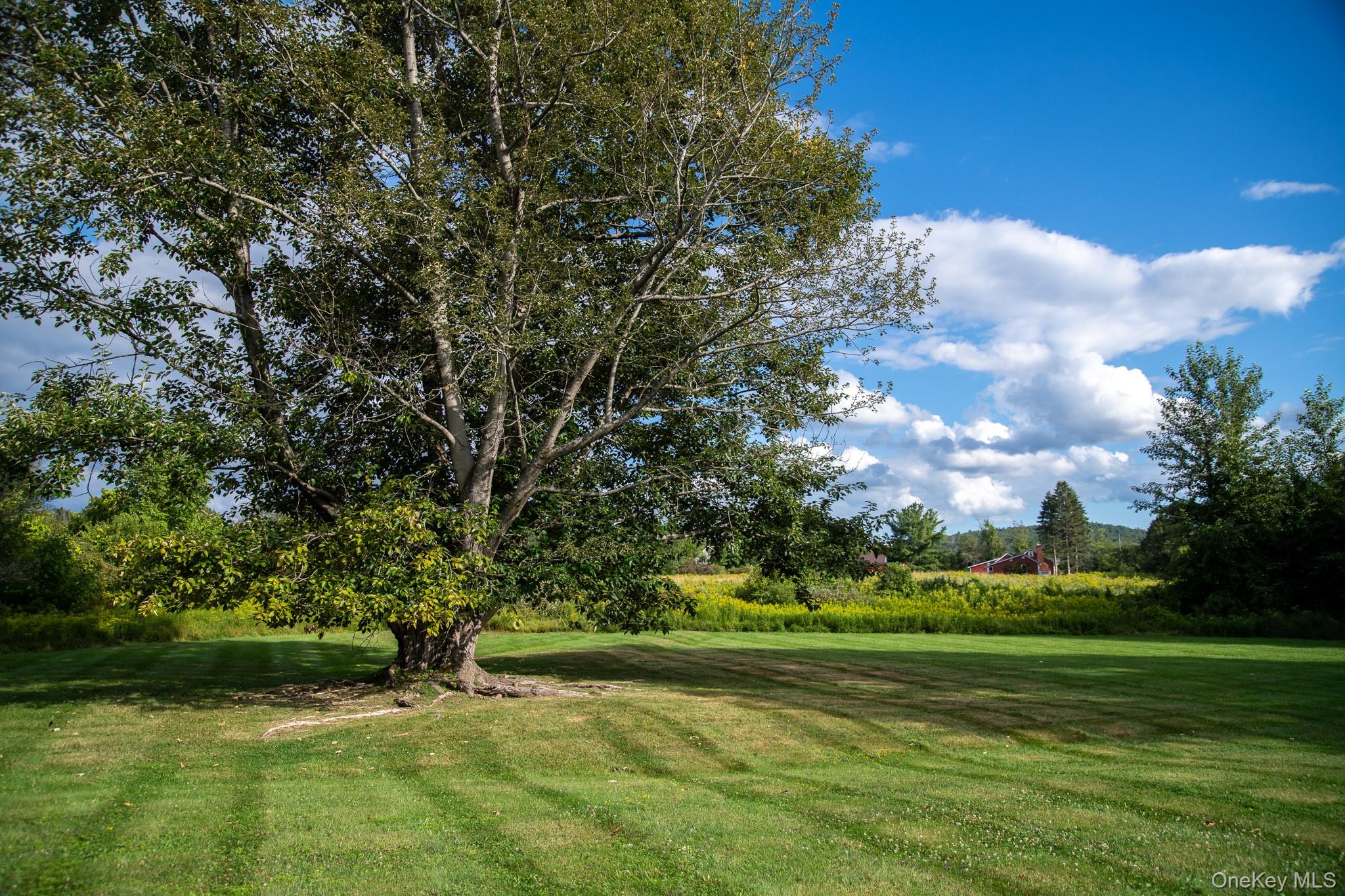 314 Schoolhouse Road, Ghent, NY 12017