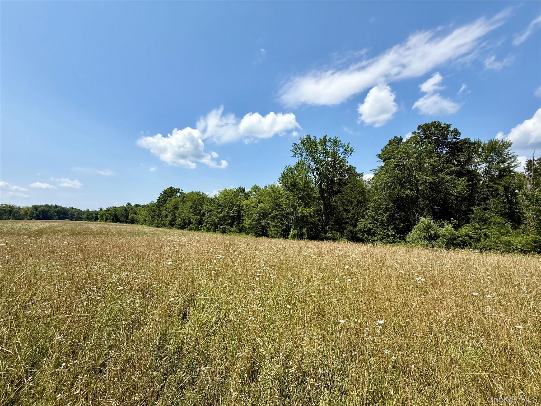 Shawangunk Road, Middletown, NY 10941