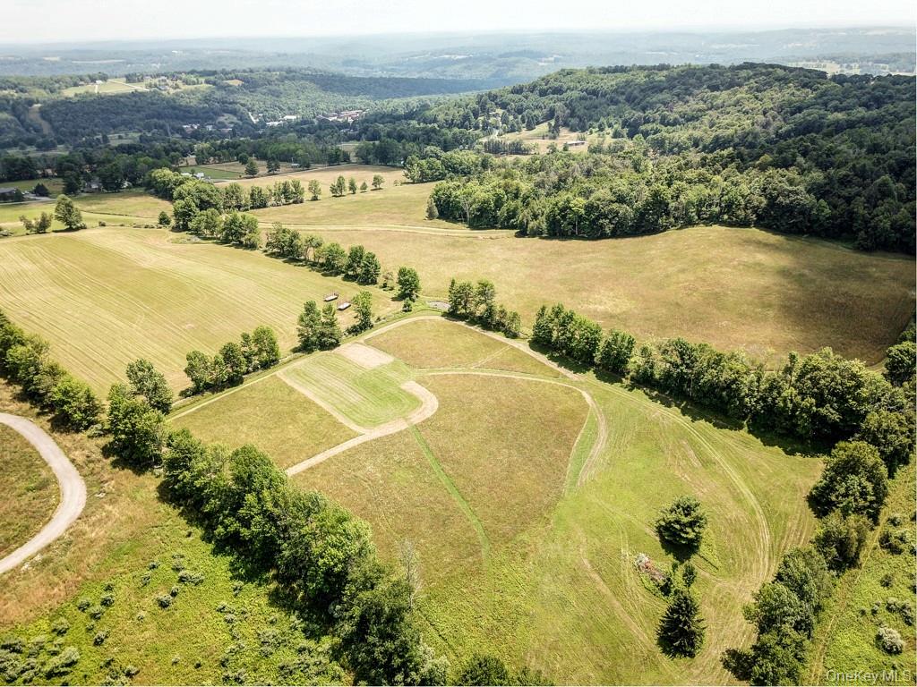 Beechwoods Road, Callicoon, NY 12723