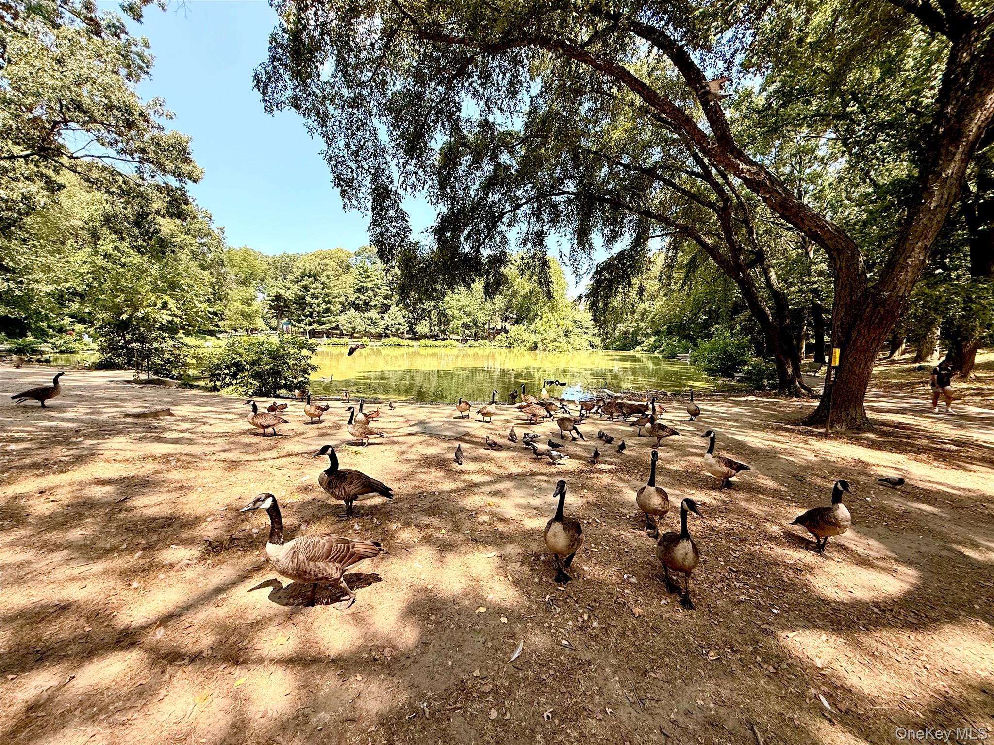 165-20 Highland Avenue # 404, Jamaica Hills, NY 11432