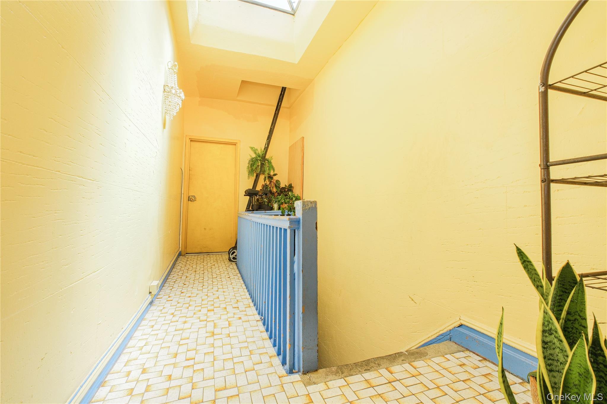 2304 Strauss Street, Brooklyn, NY 11212