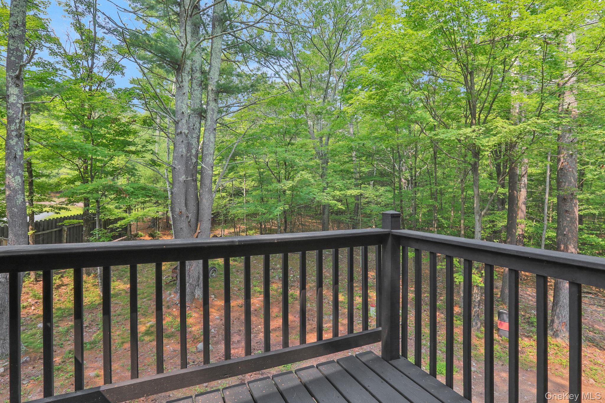 38 Nirvana Way, Cairo, NY 12413