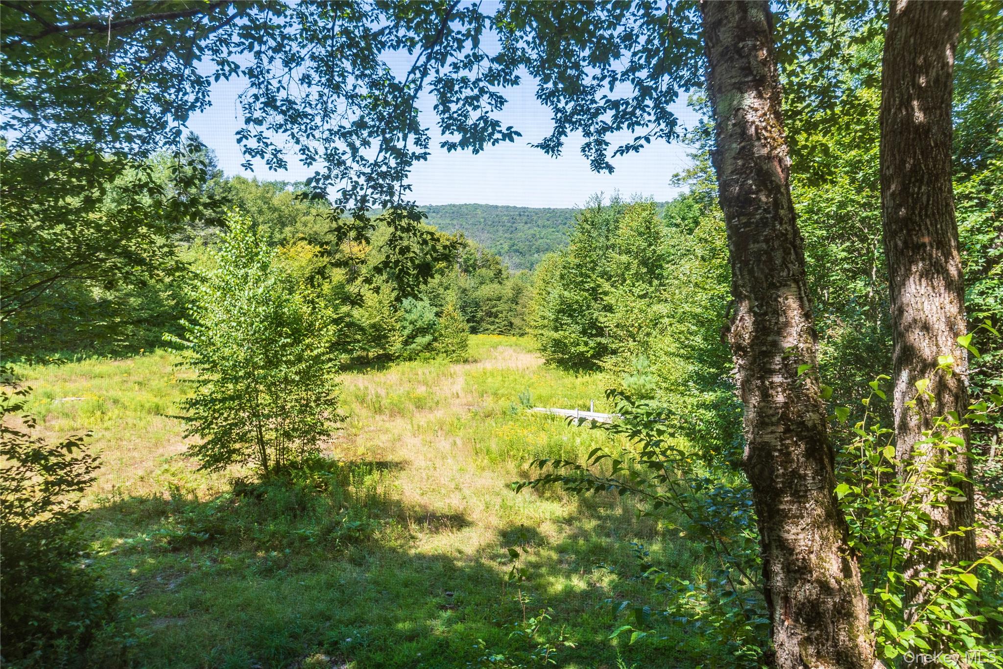 885 Grandview Road, Hancock, NY 13783