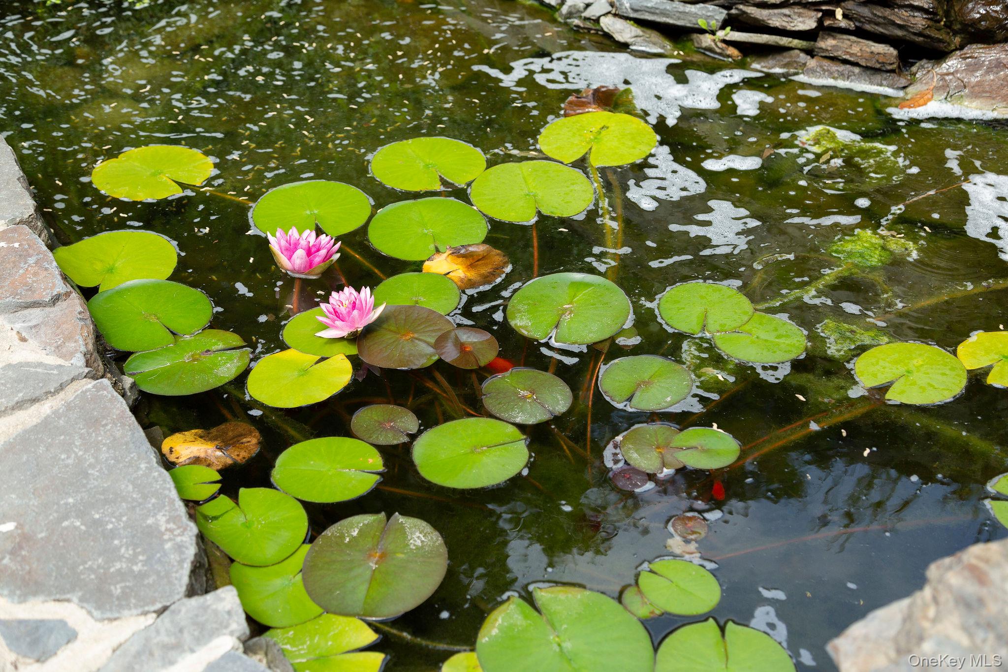 164 Vassar Road, Poughkeepsie, NY 12603