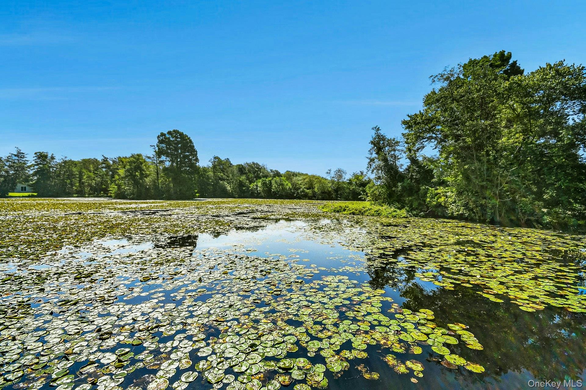 59 Wingam Drive, Islip, NY 11751