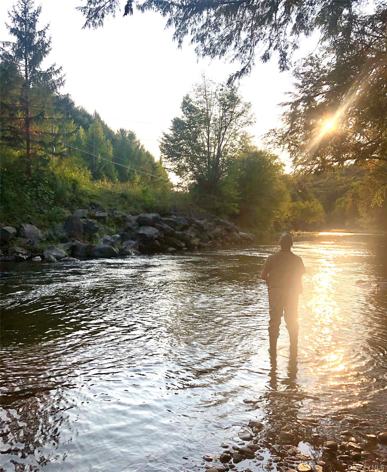 955 Beaverkill Road, Livingston Manor, NY 12758