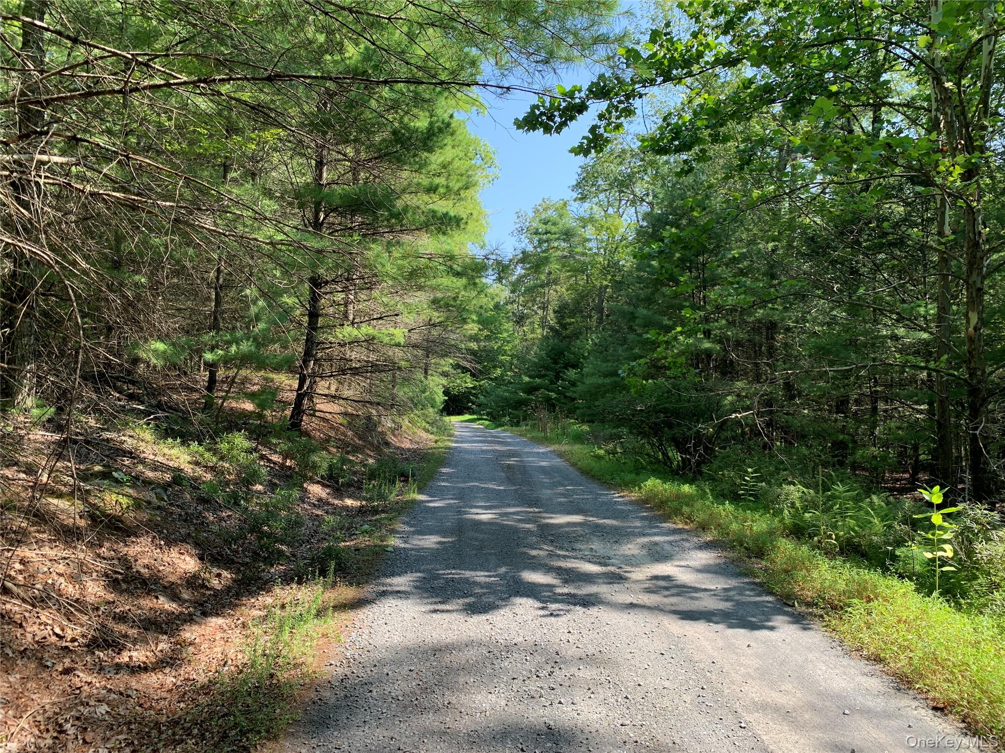 00 Lauren Court, Woodstock, NY 12498