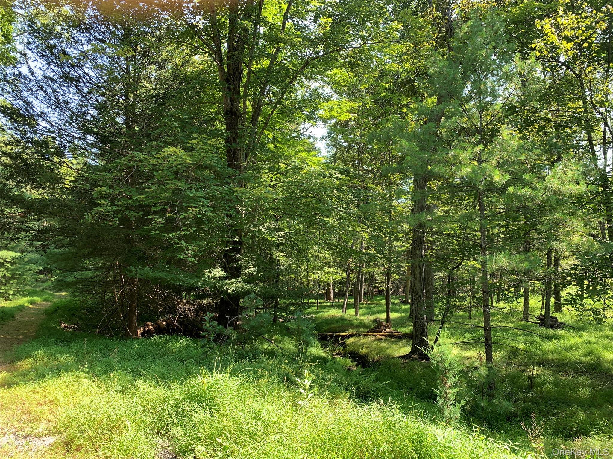 00 Lauren Court, Woodstock, NY 12498