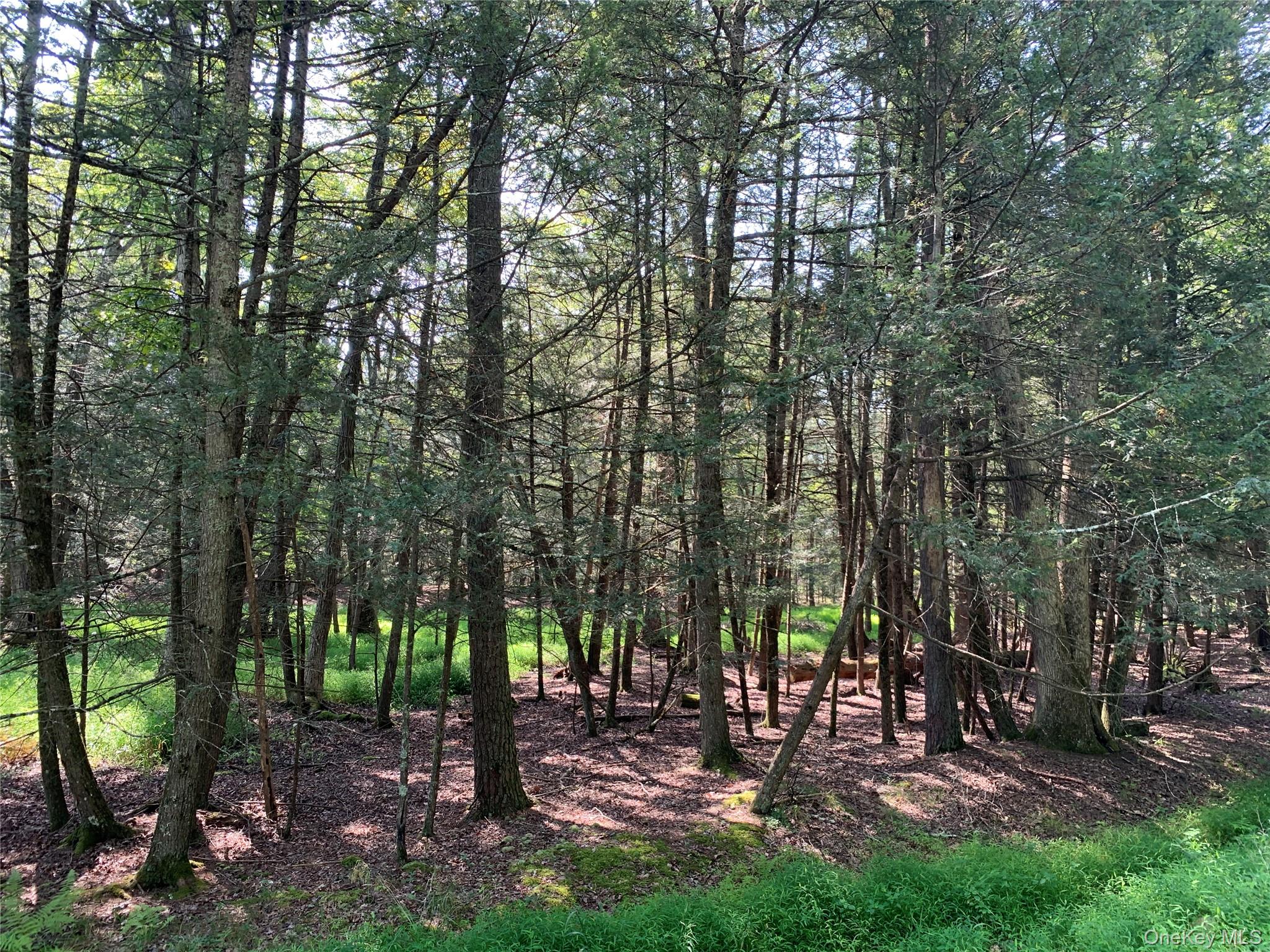 00 Lauren Court, Woodstock, NY 12498