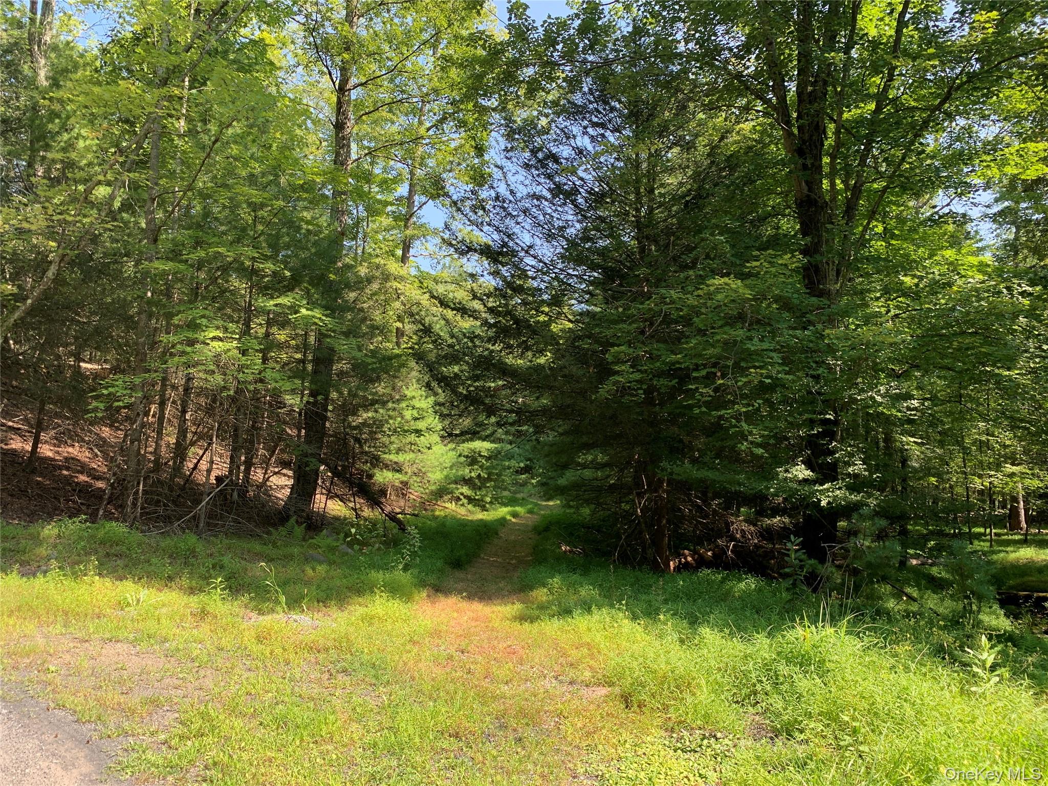 00 Lauren Court, Woodstock, NY 12498