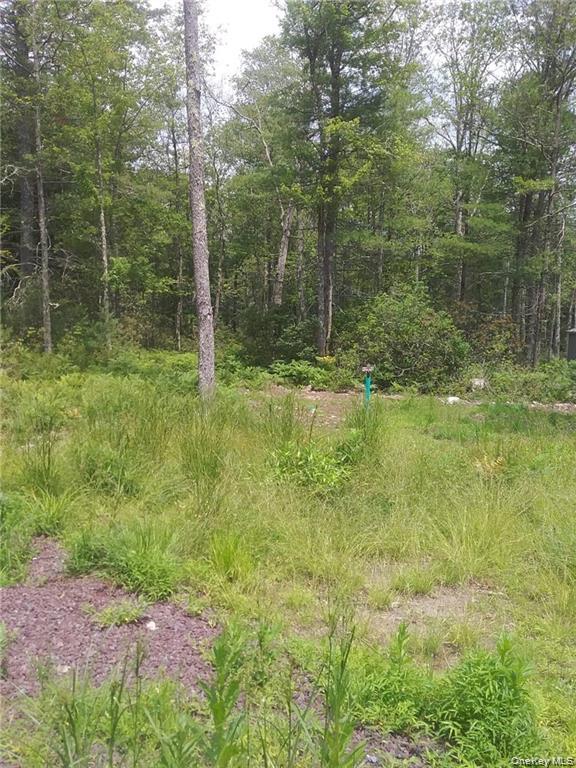 1131 Forestburgh Road, Glen Spey, NY 12737