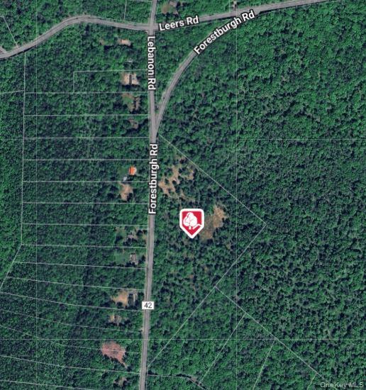 1131 Forestburgh Road, Glen Spey, NY 12737