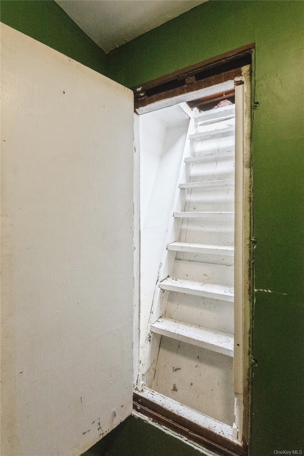 502 Chestnut Street, Brooklyn, NY 11208