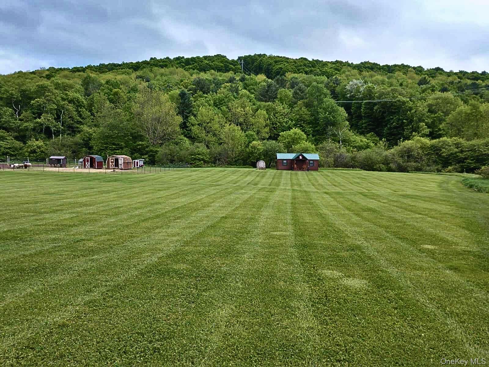 2332 Houghtaling Hollow Road, East Meredith, NY 13757