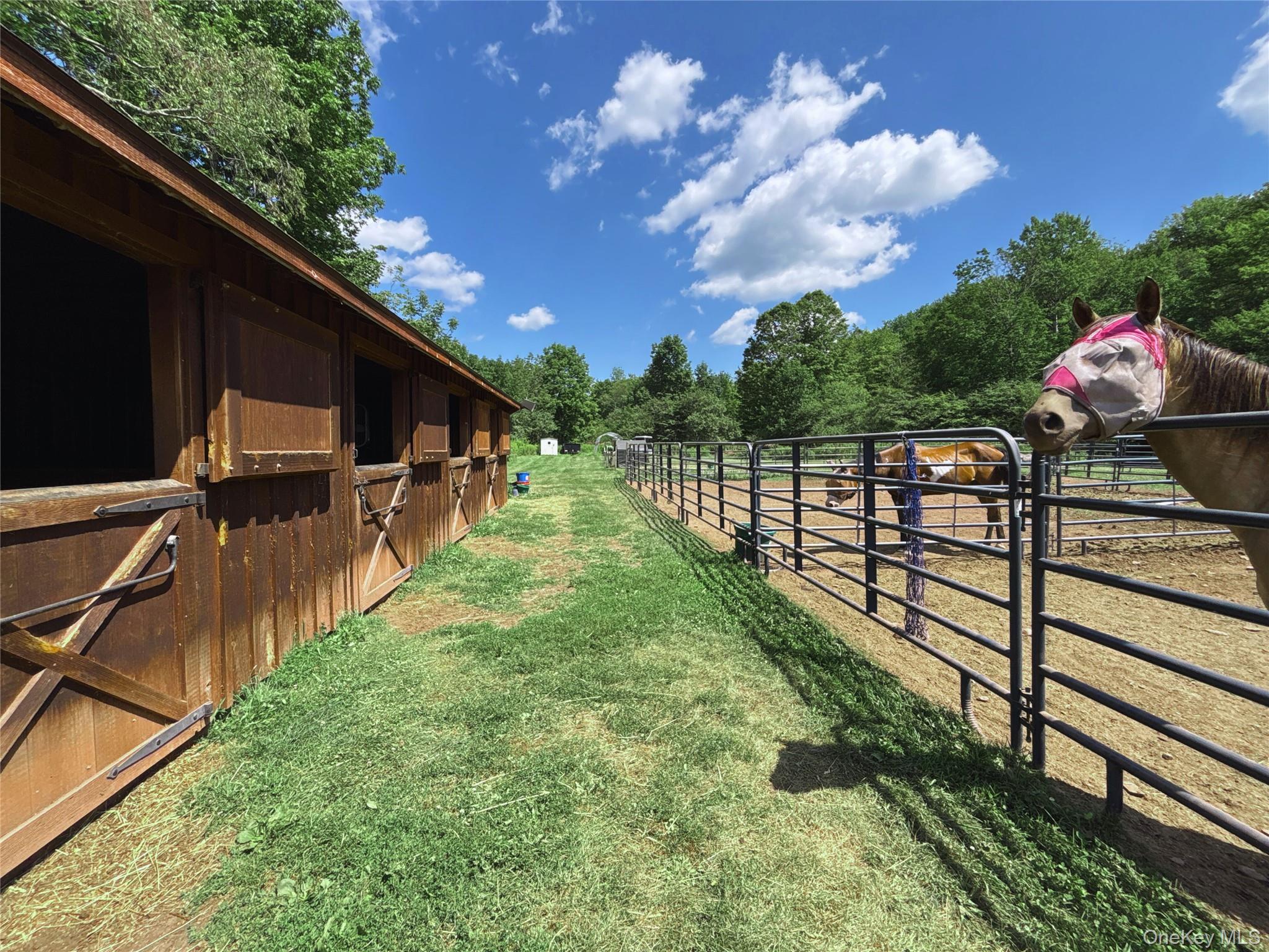 2332 Houghtaling Hollow Road, East Meredith, NY 13757