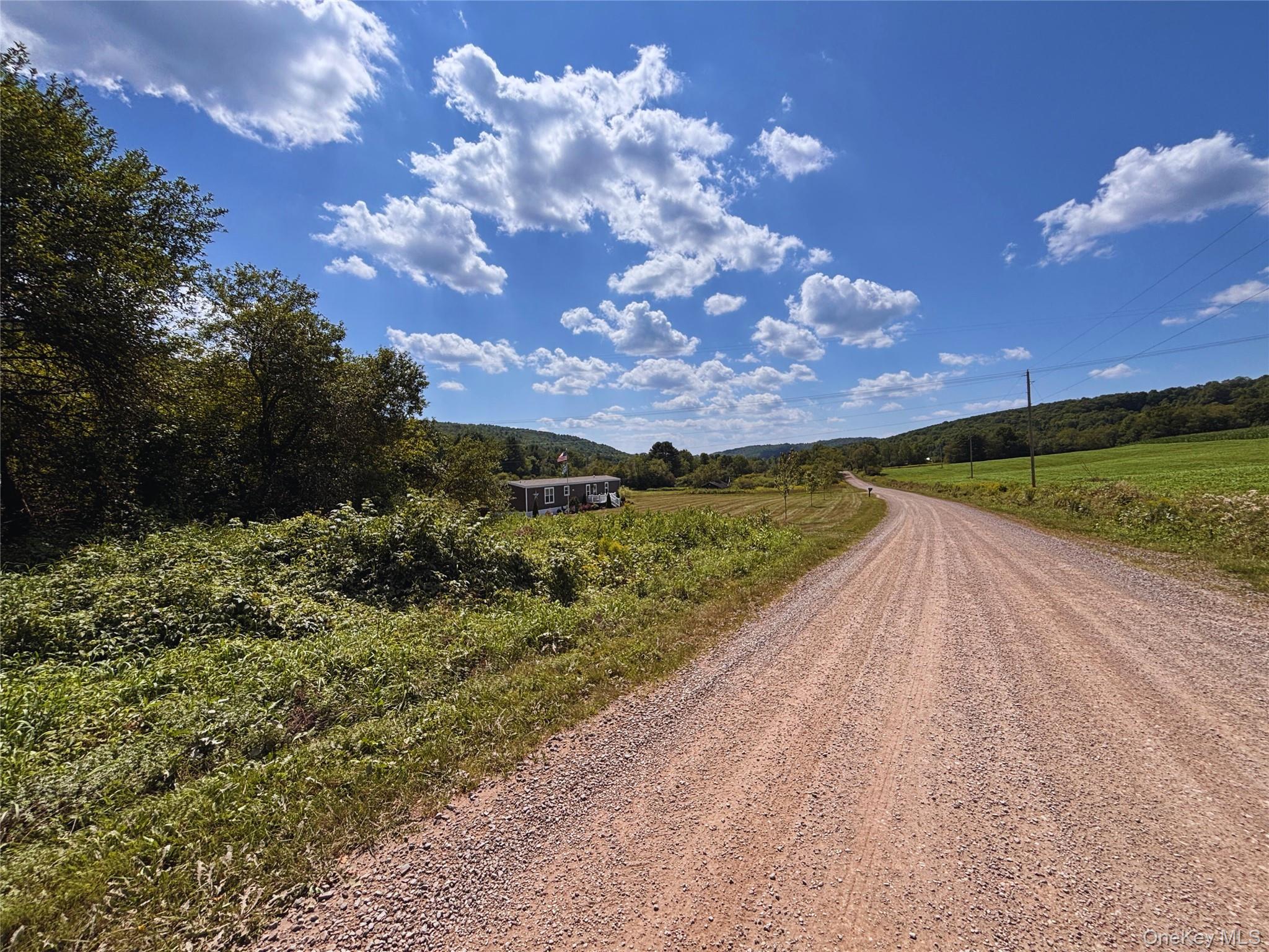 2332 Houghtaling Hollow Road, East Meredith, NY 13757