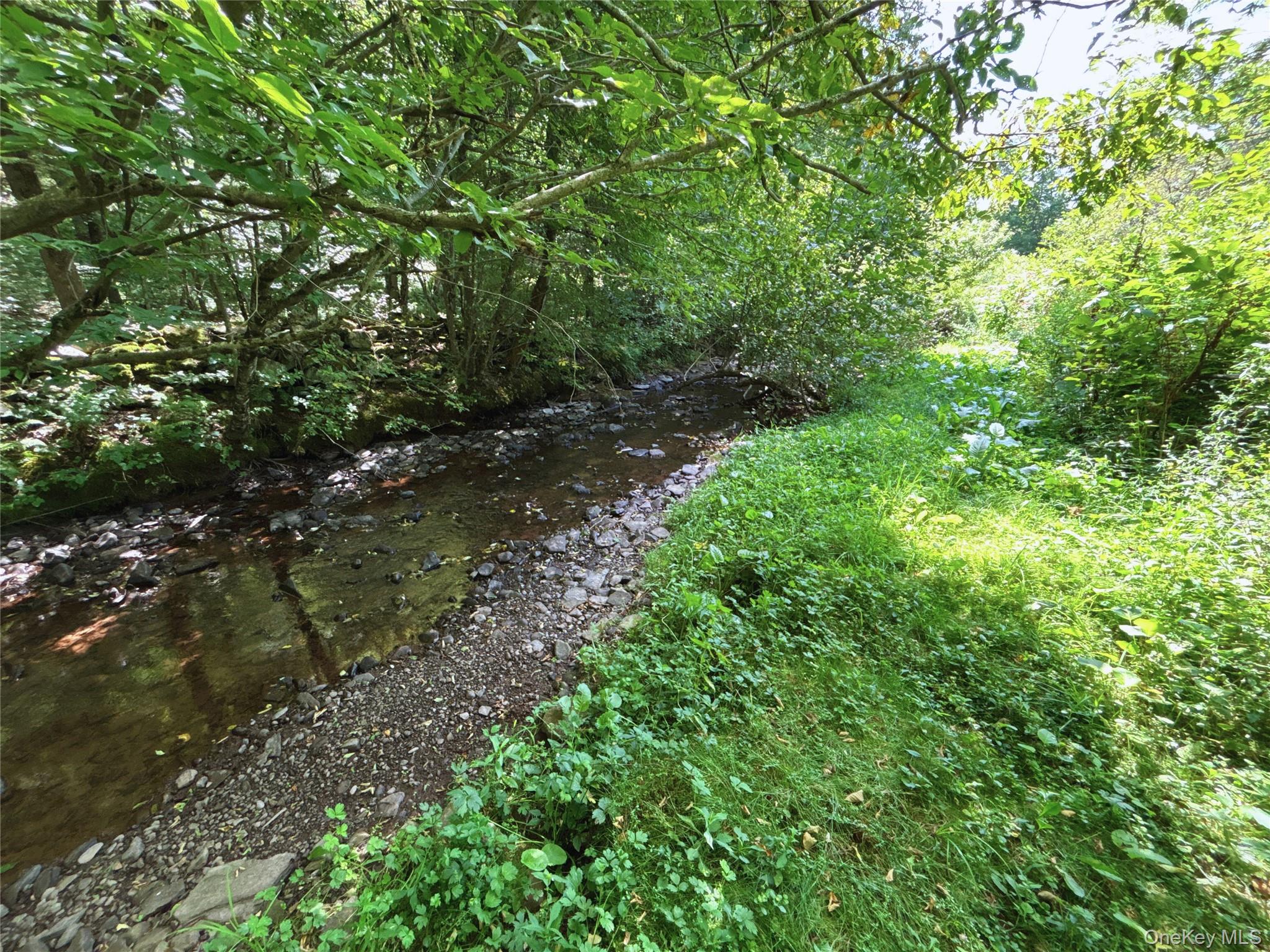 2332 Houghtaling Hollow Road, East Meredith, NY 13757