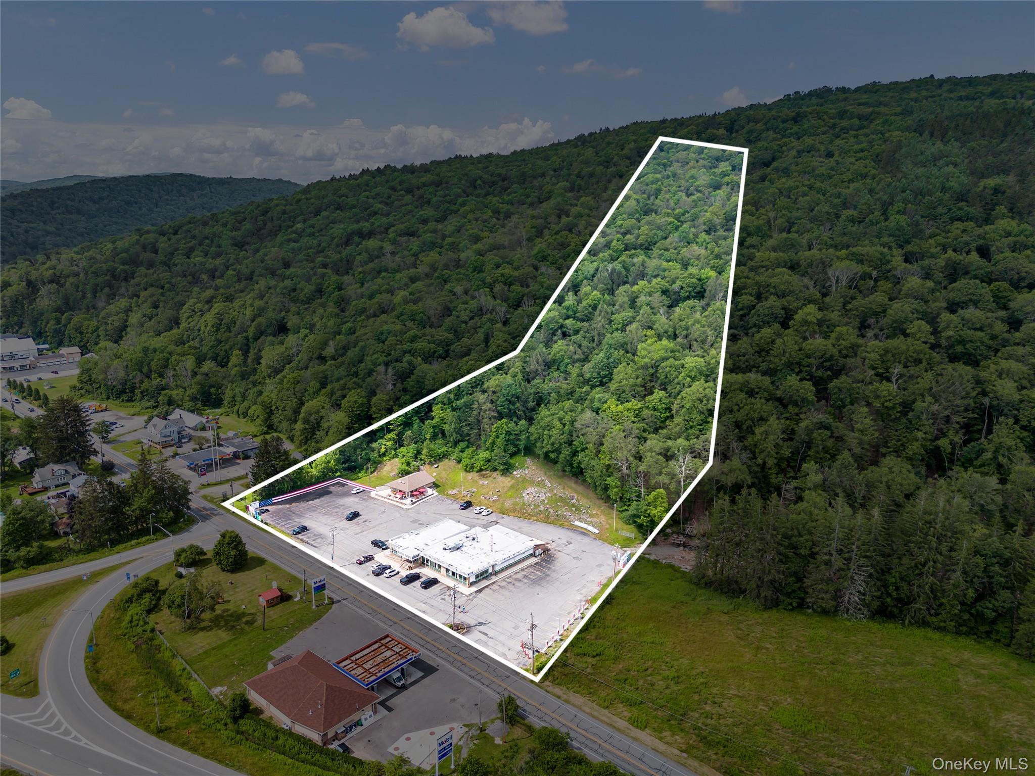 1908 Old Route 17, Roscoe, NY 12776