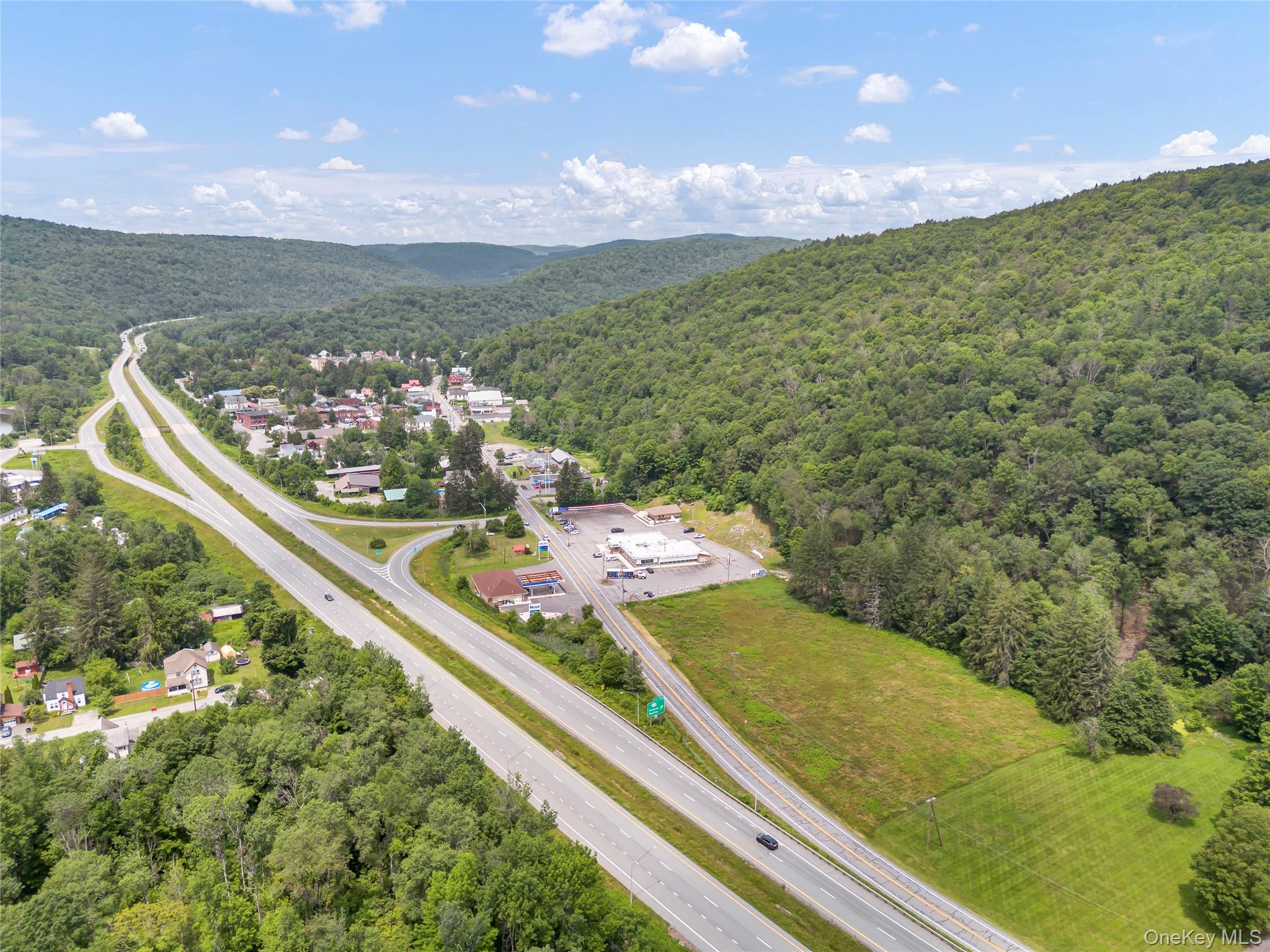 1908 Old Route 17, Roscoe, NY 12776