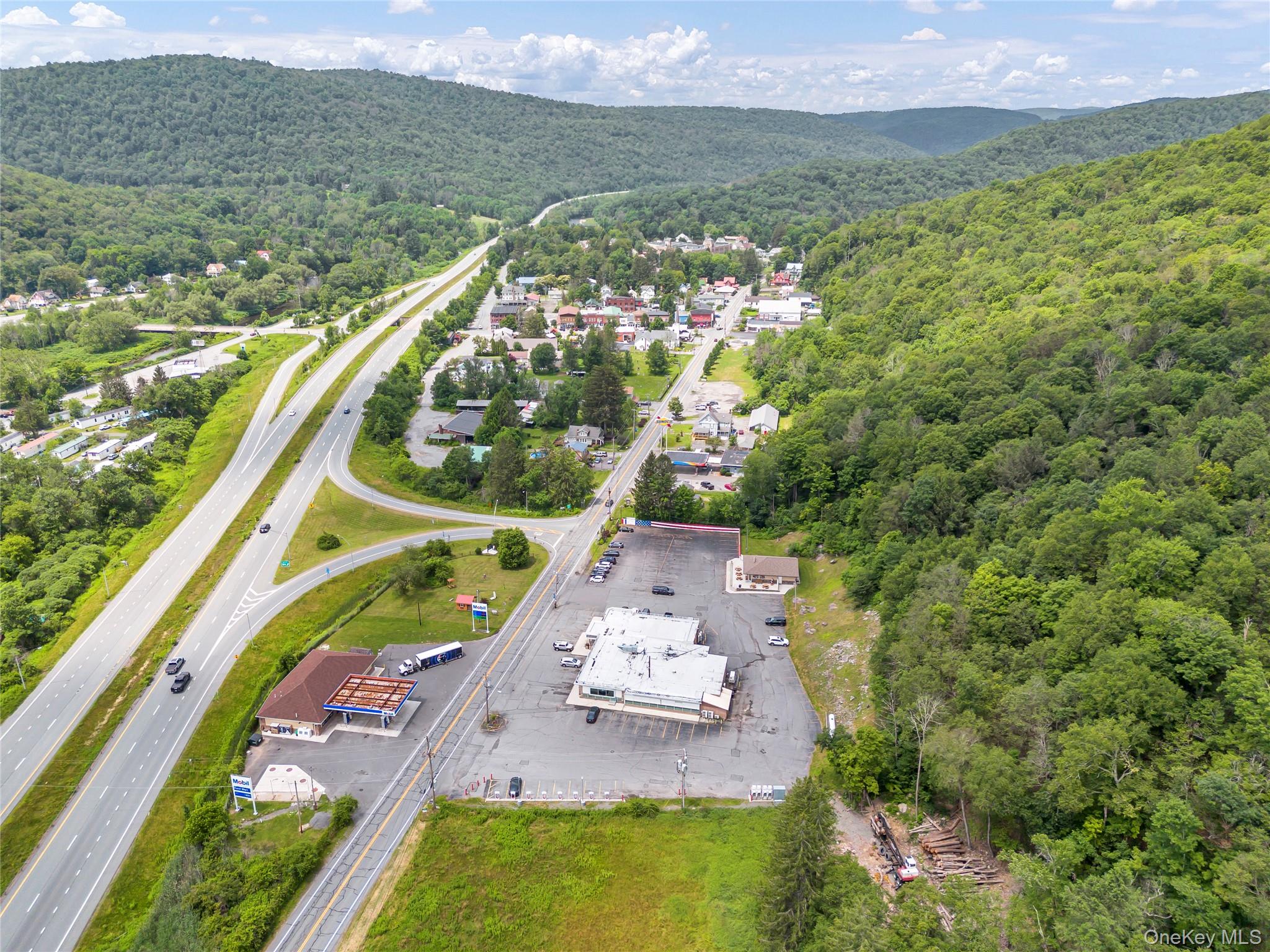 1908 Old Route 17, Roscoe, NY 12776