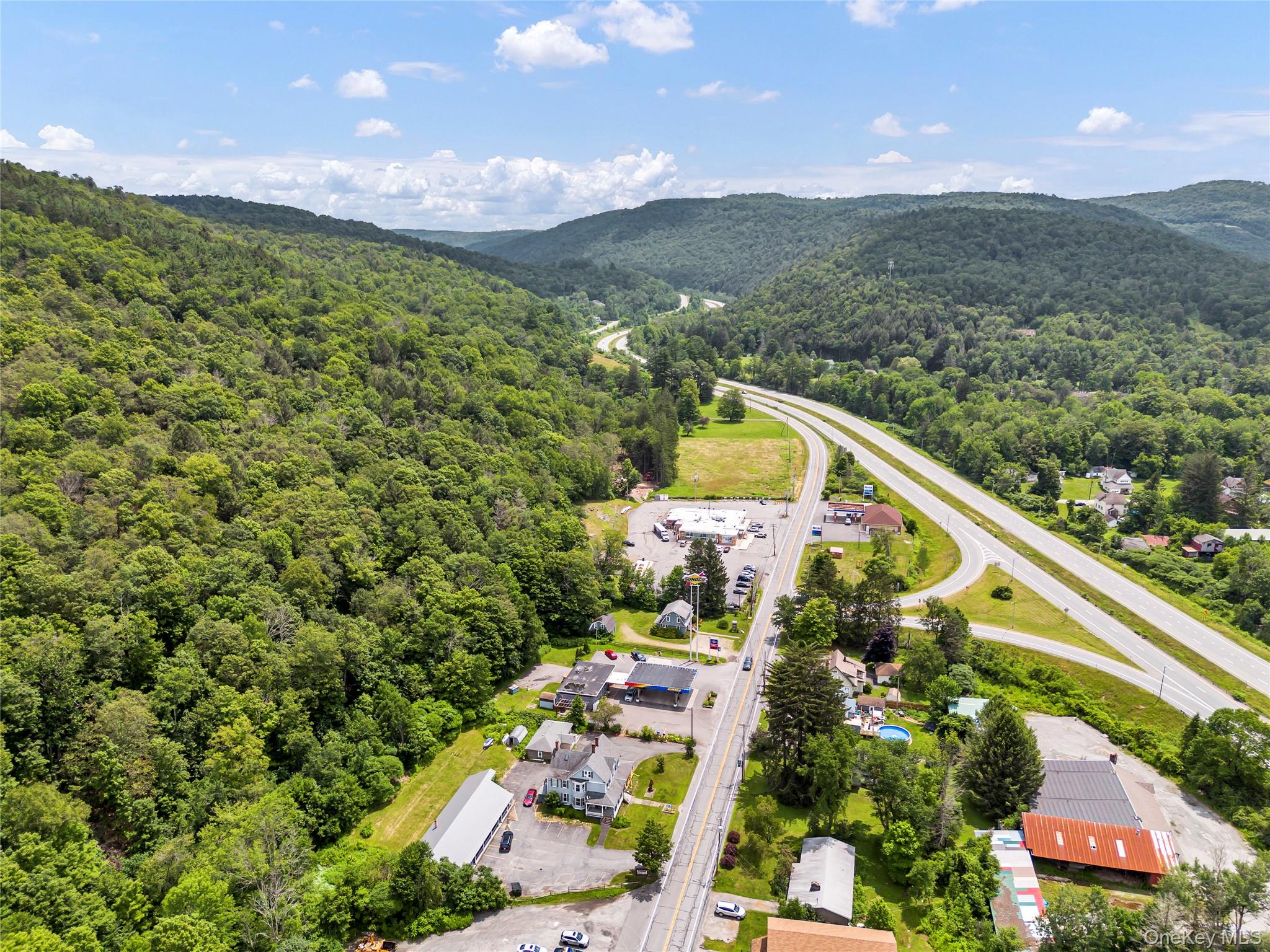 1908 Old Route 17, Roscoe, NY 12776