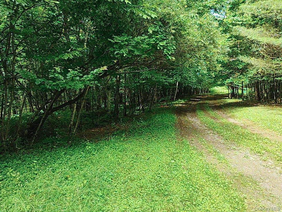 Farm View Road, Other, NY 13786