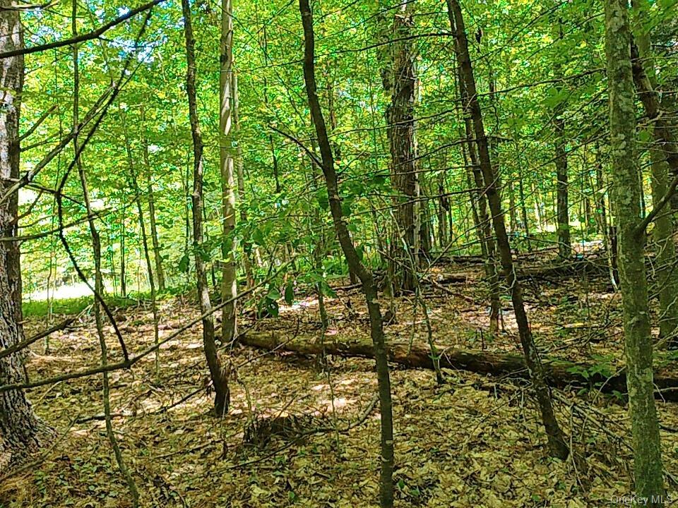 Farm View Road, Other, NY 13786