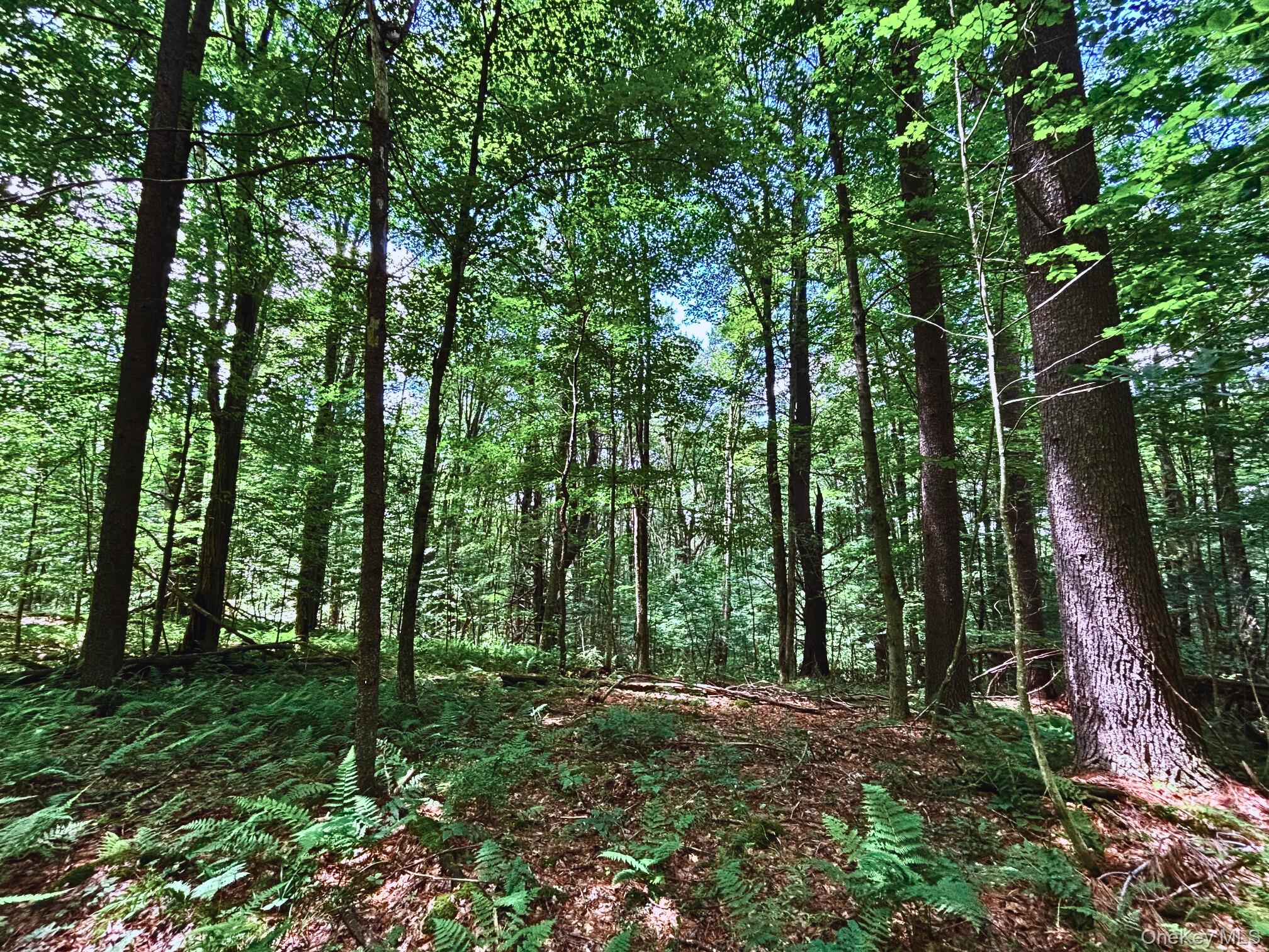 Farm View Road, Other, NY 13786