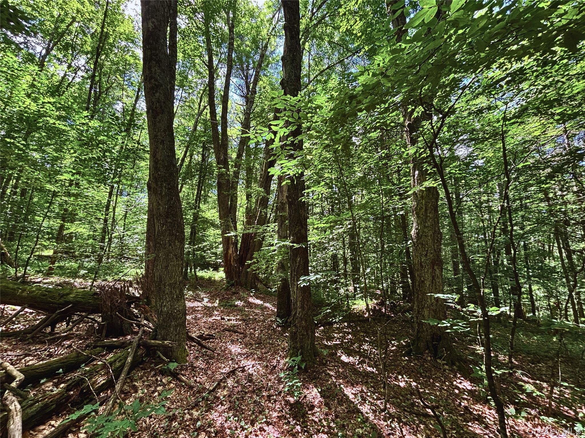 Farm View Road, Other, NY 13786