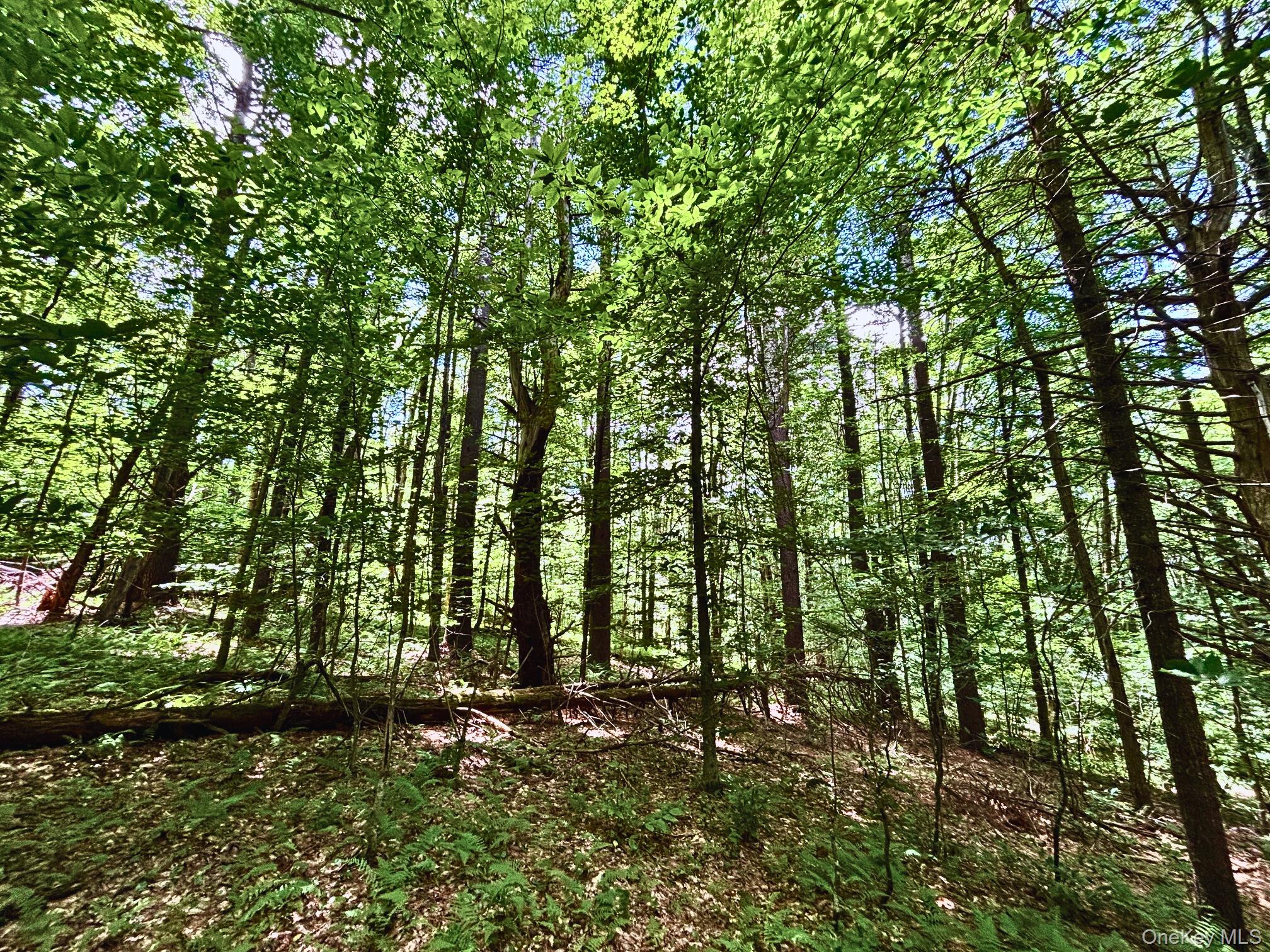 Farm View Road, Other, NY 13786