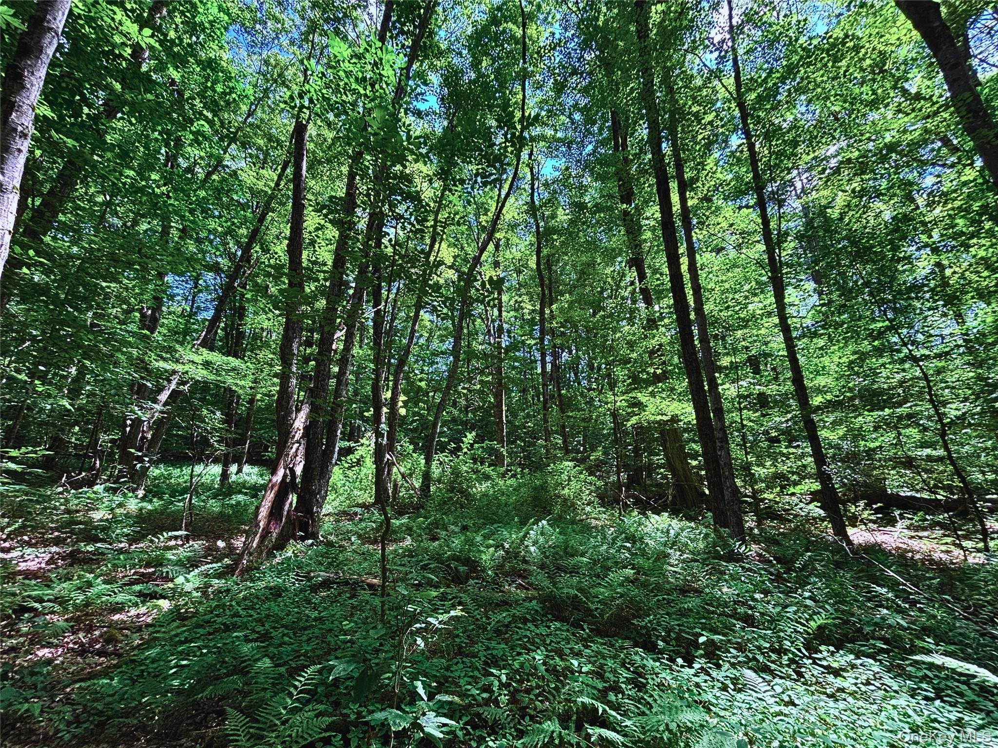 Farm View Road, Other, NY 13786