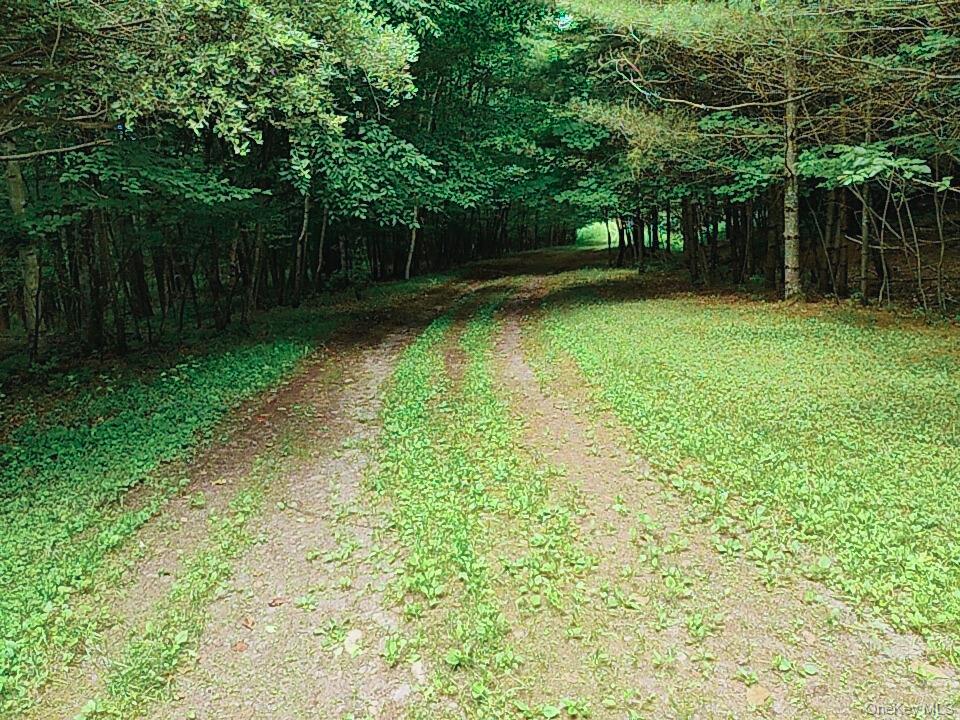 Farm View Road, Other, NY 13786