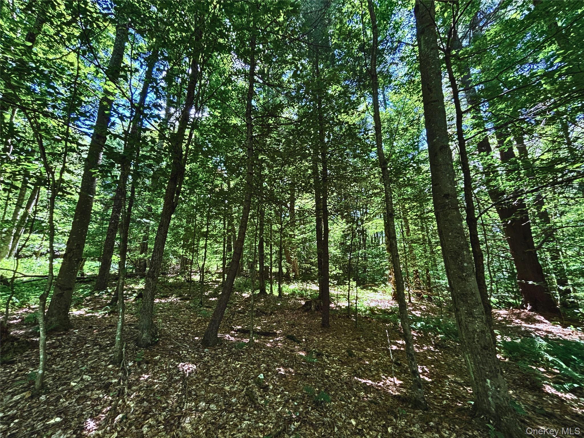 Farm View Road, Other, NY 13786